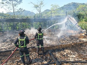 Kandang Ayam Terbakar, 6.500 Ayam Petelur di Kuningan Hangus Terpanggang