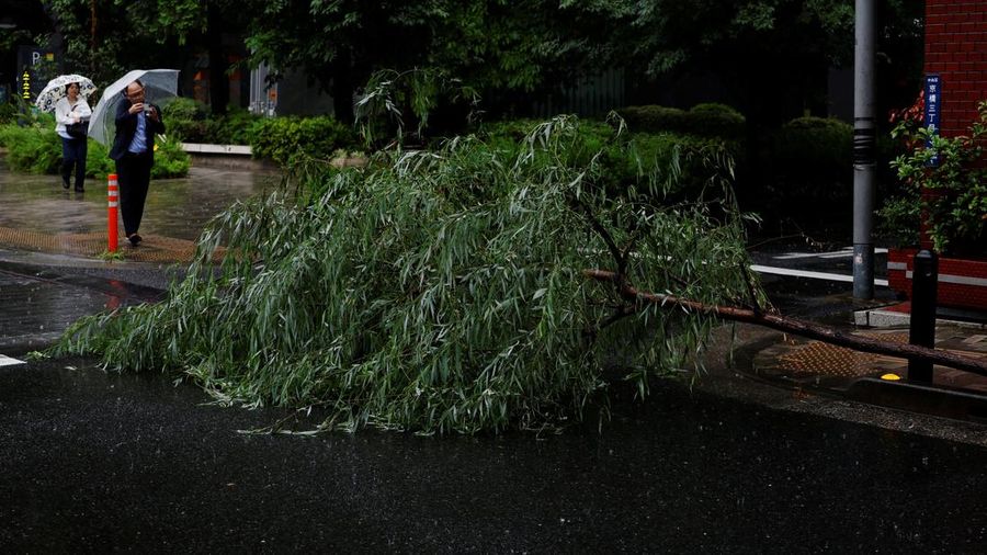 Seorang pria mengambil foto pohon tumbang di tengah hujan akibat Topan Jangmi di Tokyo, Jepang, 3 Juni 2026.