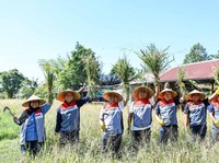 Dok Pertamina