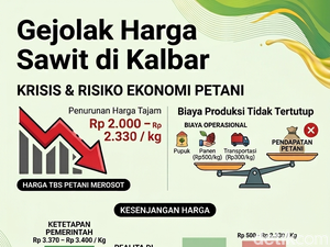 Gejolak Harga Sawit di Kalbar