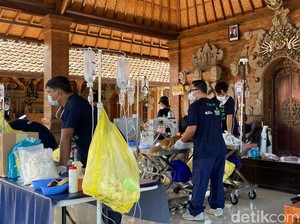 Rabies Bikin Waswas, Warga Jembrana Ramai-ramai Vaksin dan Steril Hewan