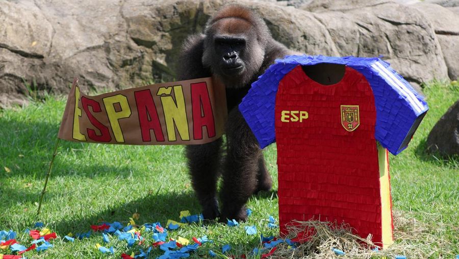 SOCCER-WORLDCUP/MEXICO-ZOO
