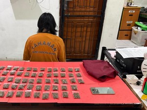 Pengedar Narkoba di Bangka Barat Diringkus Polisi, Puluhan Paket Ganja Disita