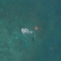 Citra satelit menunjukkan kemungkinan adanya rakit di muara Scarborough Shoal, di Laut Cina Selatan, 30 Mei 2026. Vantor/Handout via REUTERS.