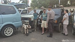 Horor Anjing Pemburu Babi Hutan Tewaskan Bocah di Bogor