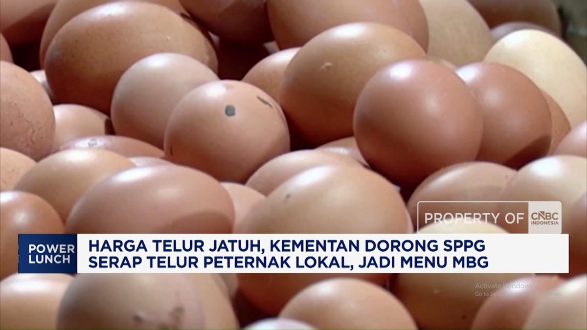 Harga Telur Jatuh, Kementan Dorong SPPG Serap Telur Peternak