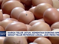 Harga Telur Jatuh, Kementan Dorong SPPG Serap Telur Peternak Lokal