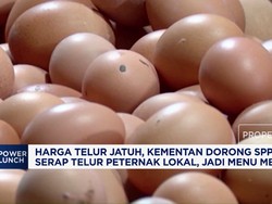 Harga Telur Jatuh, Kementan Dorong SPPG Serap Telur Peternak Lokal
