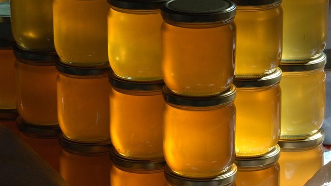 RI Temukan Obat Anti Kanker di Madu Ini