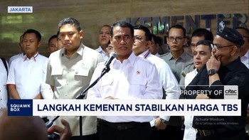 Langkah Kementan Stabilkan Harga TBS