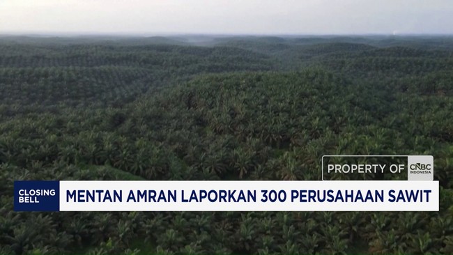 Video: Mentan Amran Laporkan 300 Perusahaan Sawit