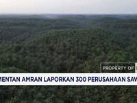 Mentan Amran Laporkan 300 Perusahaan Sawit