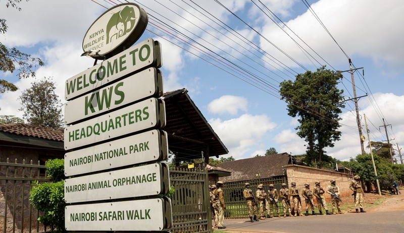 Para aktivis lingkungan bubar setelah petugas polisi anti huru hara melemparkan tabung gas air mata ke arah mereka selama demonstrasi menentang pengarahan lahan Taman Nasional Nairobi dan rencana relokasi Panti Asuhan Hewan Nairobi di Nairobi, Kenya, 8 Juni 2026. (REUTERS/Monicah Mwangi)