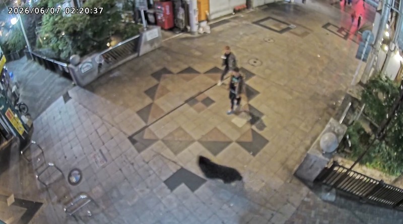 Pemerintah Kota Utsunomiya, Jepang, menangguhkan kegiatan di seluruh 94 sekolah dasar dan menengah pada Senin (8/6/2026) setelah kemunculan seekor beruang di kawasan permukiman. (Tangkapan Layar Video Reuters/)