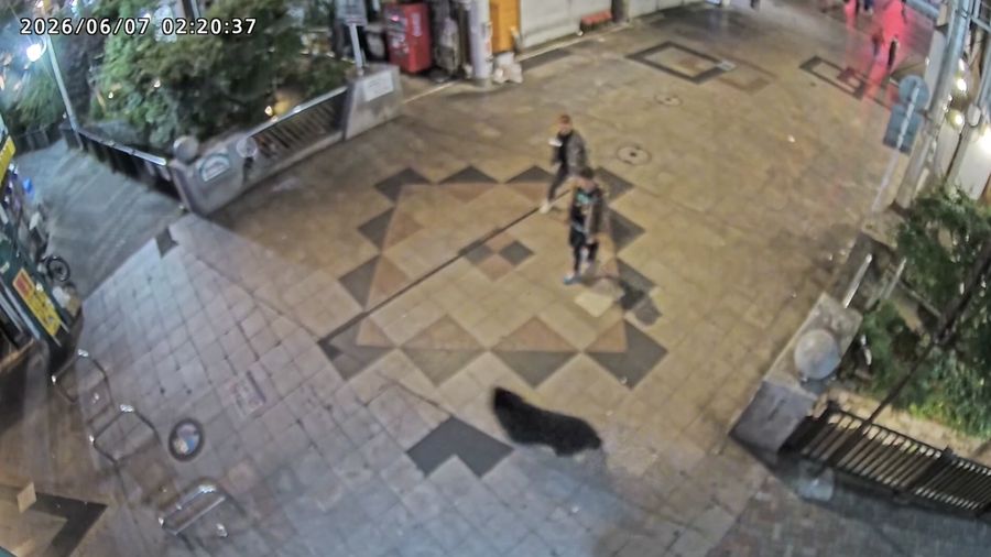 Pemerintah Kota Utsunomiya, Jepang, menangguhkan kegiatan di seluruh 94 sekolah dasar dan menengah pada Senin (8/6/2026) setelah kemunculan seekor beruang di kawasan permukiman.