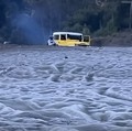 Fenomena embun upas atau embun beku mulai terlihat di kawasan Gunung Bromo pada Senin (8/6). Hamparan kristal es tampak menutupi rerumputan, dedaunan, hingga lautan pasir setelah suhu dini hari turun di bawah 5 derajat Celsius. (Dok. Bams Tour Bromo/