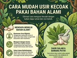 Infografis: Bahan di Dapur yang Bisa Jadi Senjata buat Usir Kecoak di Rumah