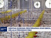 Mentan Dorong Penyerapan Ayam Broiler melalui Program MBG
