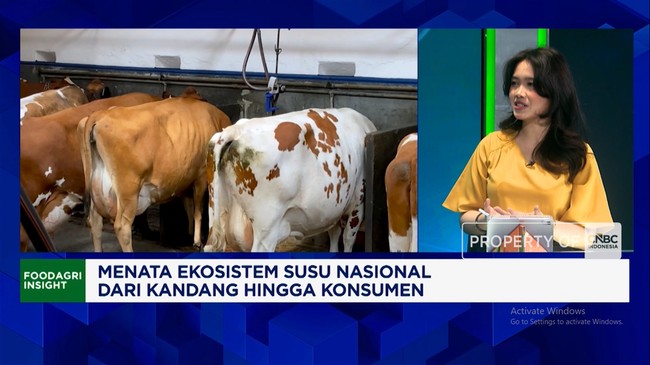Video: Sebab RI Masih Tergantung Susu Impor dan Produksi Lokal Rendah