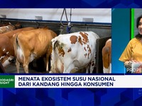 RI Masih Tergantung Susu Impor & Produksi Peternak Lokal Rendah, Apa Masalahnya?
