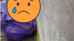 Tega, Bayi Sehat Dibuang di Pinggir Jalan Denpasar-Mulutnya Dilakban