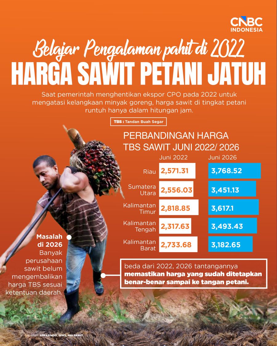 Belajar Pengalaman pahit di 2022 Harga Sawit Petani Jatuh