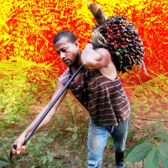 Belajar Pengalaman pahit di 2022 Harga Sawit Petani Jatuh