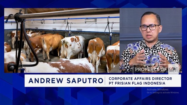Video: Jika Produksi Peternak Lokal Naik, Impor Susu RI Dijamin Turun