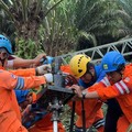 Dok PLN