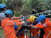 Dok PLN