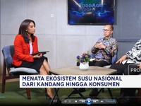 Dorong Produksi & Konsumsi Susu Lokal, Saatnya Anak Muda Beternak Sapi Perah
