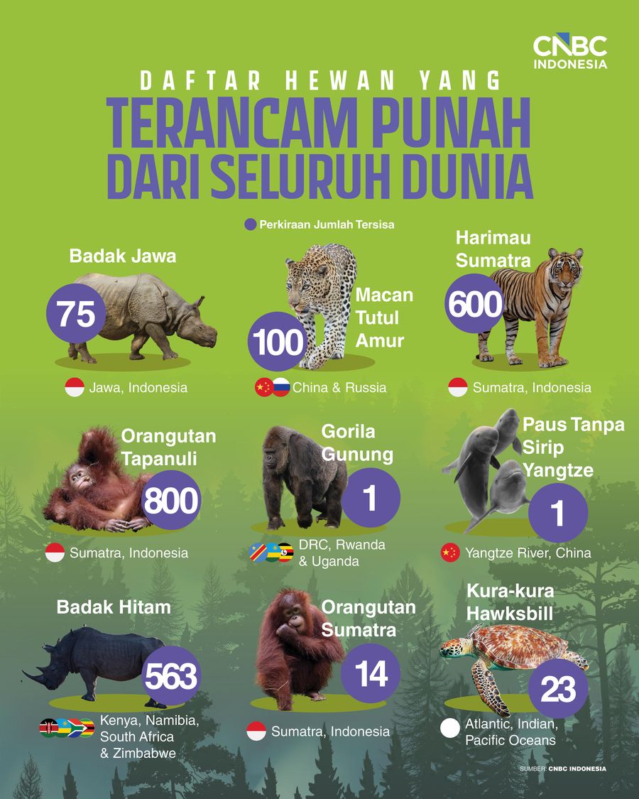 Kiamat! 4.000 Spesies Hewan di Asia Terancam Hilang Selamanya