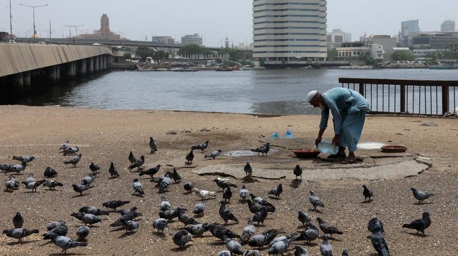 Ameer Bux, 50 tahun, seorang warga pengangguran, menuangkan air ke dalam pot tanah liat untuk burung merpati selama hari musim panas yang terik di Karachi, Pakistan, 10 Juni 2026.