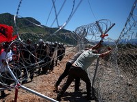 Para pengunjuk rasa yang mengatakan tanah mereka telah diambil secara tidak adil, merobohkan pagar tempat resor wisata akan dibangun di tepi pantai Adriatik, di Rrjoll, dekat Shkodra, Albania, 13 Juni 2026. (REUTERS/Florion Goga)