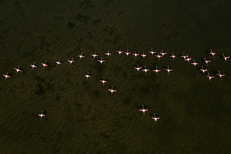 Pemandangan teluk di Kawasan Lindung Vjosa-Narta, tempat resor mewah direncanakan oleh perusahaan yang terkait dengan menantu Donald Trump, Jared Kushner, di Zvernec dekat Vlora, Albania, 10 Juni 2026. (REUTERS/Florion Goga)