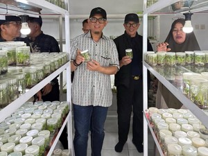 Bupati OKU Ingin Durian-Duku Khas Daerah Dikembangkan Lewat Kultur Jaringan