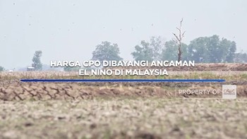 Harga CPO Dibayangi Ancaman El Nino di Malaysia