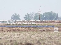 Harga CPO Dibayangi Ancaman El Nino di Malaysia