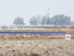 Harga CPO Dibayangi Ancaman El Nino di Malaysia