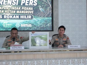 3 Hektare Hutan Mangrove Dibabat, Pria di Rohil Jadi Tersangka