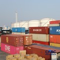 Foto: Aktivitas bongkar muat di Terminal Petikemas (TPK) Koja, Tanjung Priok, Jakarta, Rabu (17/6/2026). (CNBC Indonesia/Tri Susilo)