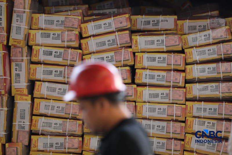 Aktivitas bongkar muat di di posko Bea dan Cukai Terminal Petikemas (TPK) Koja, Tanjung Priok, Jakarta, Rabu (17/6). (CNBC Indonesia/Tri Susilo)