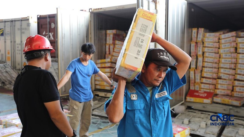 Aktivitas bongkar muat di posko Bea dan Cukai Terminal Petikemas (TPK) Koja, Tanjung Priok, Jakarta, Rabu (17/6). (CNBC Indonesia/Tri Susilo)