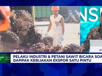 Curhat Petani & Pengusaha Sawit Soal Ekspor Satu Pintu, Pesan Ini ke PT DSI