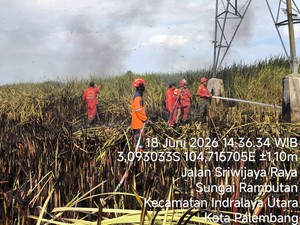 Karhutla Terjadi di Ogan Ilir, Luas Lahan Terbakar 2 Hektare