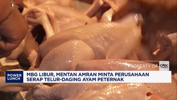 MBG Libur, Mentan Amran Minta Perusahaan Serap Telur-Daging Ayam Peternak
