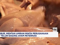 MBG Libur, Mentan Amran Minta Perusahaan Serap Telur-Daging Ayam Peternak