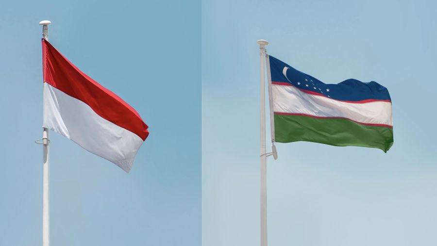Foto Kombinasi Bendera Indonesia - Bendera Uzbekistan. (Pexels)