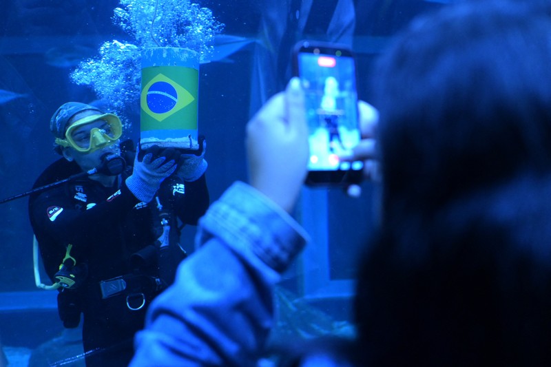 Soccer Football - FIFA World Cup 2026 - Shark predicts winner of Brazil v Haiti - AquaRio, Rio de Janeiro, Brazil - June 18, 2026 A shark at the AquaRio aquarium picks Brazil as the winner of Brazil against Haiti REUTERS/Tita Barros