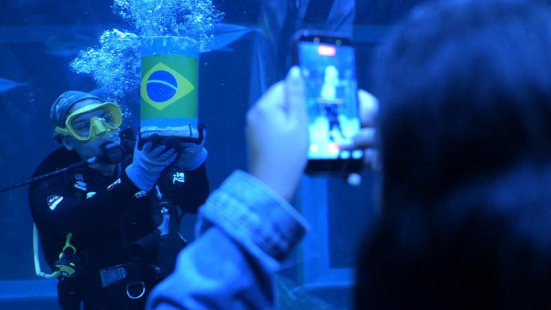 SOCCER-WORLDCUP/BRAZIL-SHARK